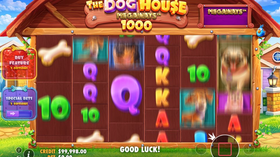 The Dog House Megaways 1000 feature